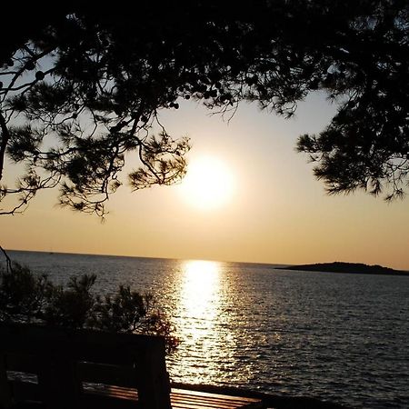 Villa Diomedes With The Sea View And The Pool Rogoznica  Exterior foto